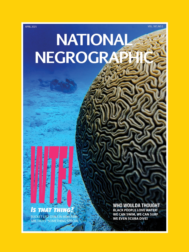 National Negrographic No. 8 - Bonaire Horizons